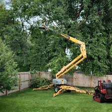 Lawn Pest Prevention in Goose Creek, SC
